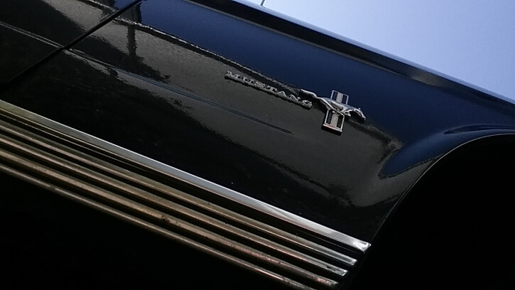 Mustang horse emblem